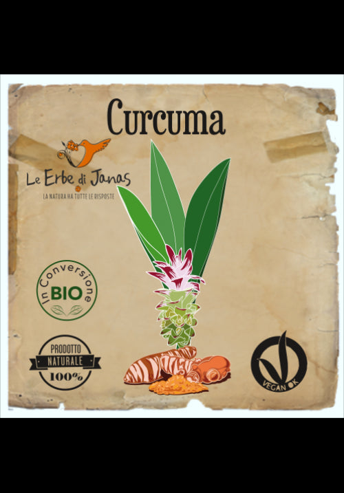 Erbe di Janas Curcuma in Polvere