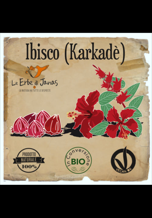 Hibiscus Karkade