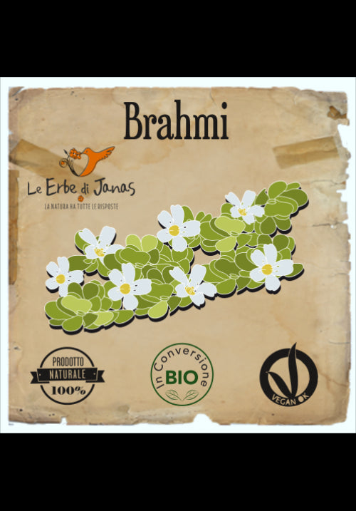Herbs of Janas Brahmi Revitalizing Powder
