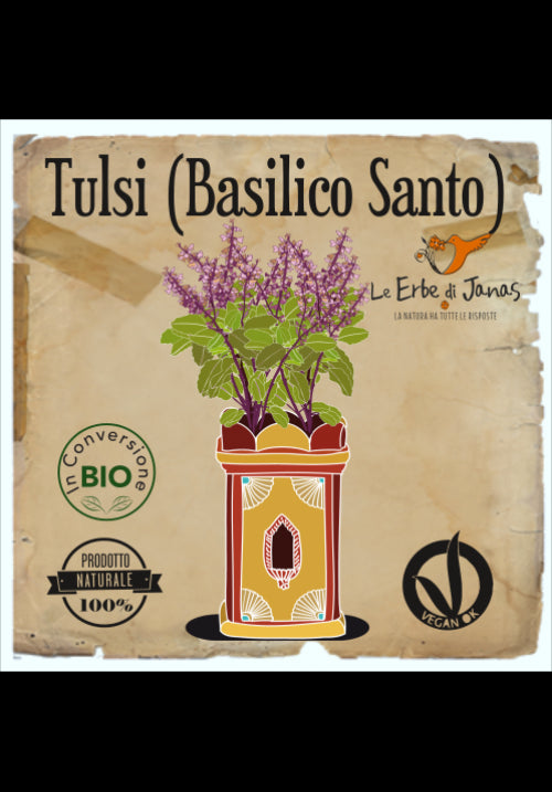 Janas Tulsi Herbs Holy Basil